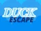 Permainan Duck Escape talian