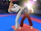 Permainan Karate Fighter talian