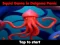 Permainan Squid Game In Dalgona Panic talian