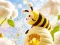 Permainan Find The Differences: Little Bee's Adventure talian