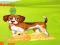 Permainan Bunny Key Quest talian
