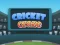 Permainan Cricket Craze talian