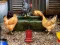 Permainan Poultry Farm Easter Escape talian