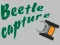 Permainan Beetle Capture talian