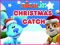 Permainan Nick Jr. Christmas Catch talian