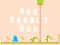 Permainan Run Rabbit Run talian