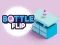 Permainan Bottle Flip talian