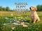 Permainan Playful Puppy Outdoor Puzzle talian