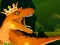 Permainan The Dino King talian