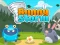 Permainan Bunny Storm talian