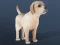 Permainan IDLE Pet talian