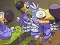 Permainan Save The Dodos talian