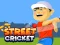 Permainan Street Cricket talian