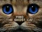 Permainan Find the Ghost Cat talian