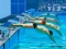 Permainan Swimming Pool Race talian