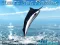 Permainan Azure Sea Fishing talian