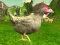 Permainan Chicken Shooter talian