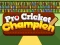 Permainan Pro Cricket Champion talian