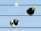 Permainan Gone with the Birds talian