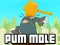 Permainan Pum-Mole talian