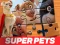 Permainan DC League of Super Pets Jigsaw Puzzle talian