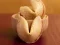 Permainan Fortune Cookies talian