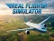 Permainan Real Flight Simulator talian