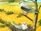 Permainan Birds Of Prey Puzzle talian