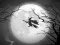Permainan The Night Of the Witches Jigsaw talian