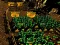 Permainan Pixel Farm talian