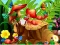Permainan Hidden Objects Insects talian