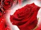 Permainan Red Roses talian