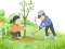 Permainan Arbor Day Puzzle talian