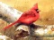 Permainan Art Birds Puzzle talian