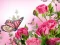 Permainan Butterflies Puzzle talian
