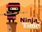 Permainan Ninja Time talian