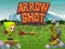 Permainan Arrow Shoot talian