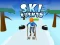 Permainan Ski Rush 3d talian