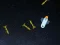 Permainan 5 Minutes in Space talian
