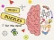 Permainan Brain Puzzles Quests talian