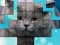 Permainan PicPu Cat talian