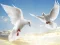 Permainan Flying Birds talian