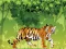 Permainan Angry Tiger Coloring talian