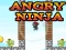 Permainan Angry Ninja talian
