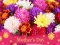 Permainan 2019 Mother's Day Puzzle talian