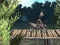 Permainan Bike Trial Xtreme Forest talian