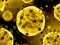 Permainan Coronavirus Slide talian