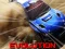Permainan Nitro Rally Evolution talian