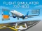 Permainan Flight Simulator 737-800 talian