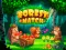 Permainan Forest Match talian